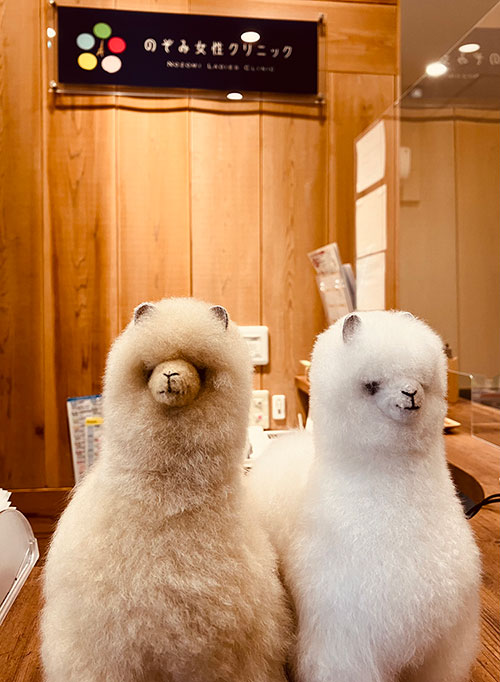 当院のスタッフ